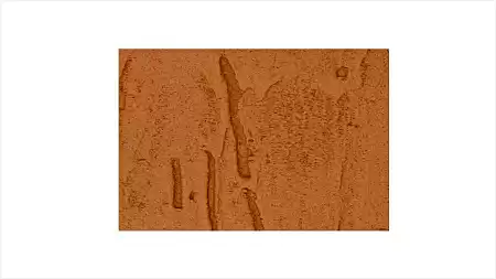 Фиброцементный сайдинг БЕТЭКО ВУДРОК, 190х3000х8 мм, 8023 оранжево-коричневый Фиброцементный сайдинг БЕТЭКО ВУДРОК, 190х3000х8 мм, 8023 оранжево-коричневый