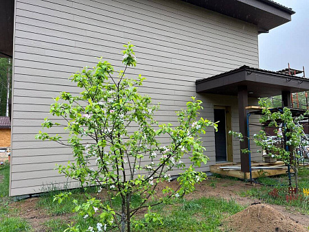 Фиброцементный сайдинг FCSPRO Вуд Классик, 3000x190x8 мм, F03 (Белый песок)