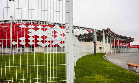 Панель PROFI / ПРОФИ Гранд Лайн / Grand Line, Zn, 2.43х2.5 м