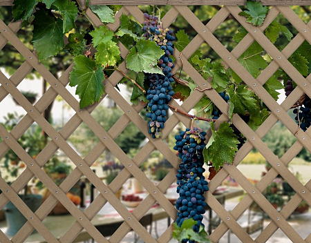 Шпалера из ДПК в раме Модель 1 GRINDERDECO, 460х1500 мм, мербау Шпалера из ДПК в раме Модель 1 GRINDERDECO, 460х1500 мм, мербау